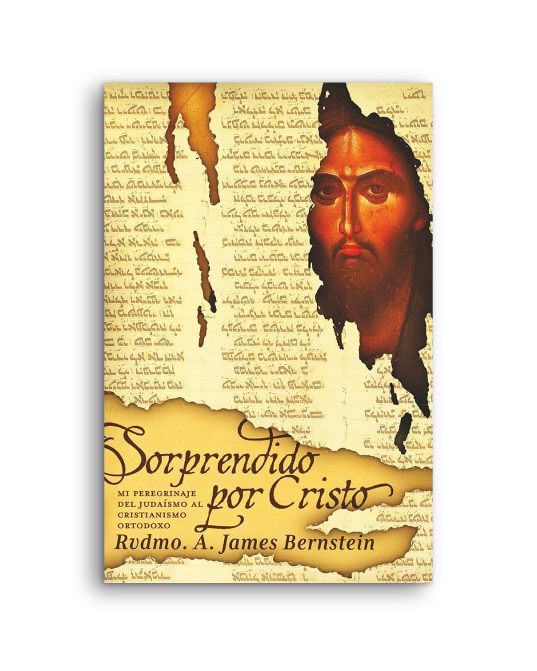 Sorprendido por Cristo